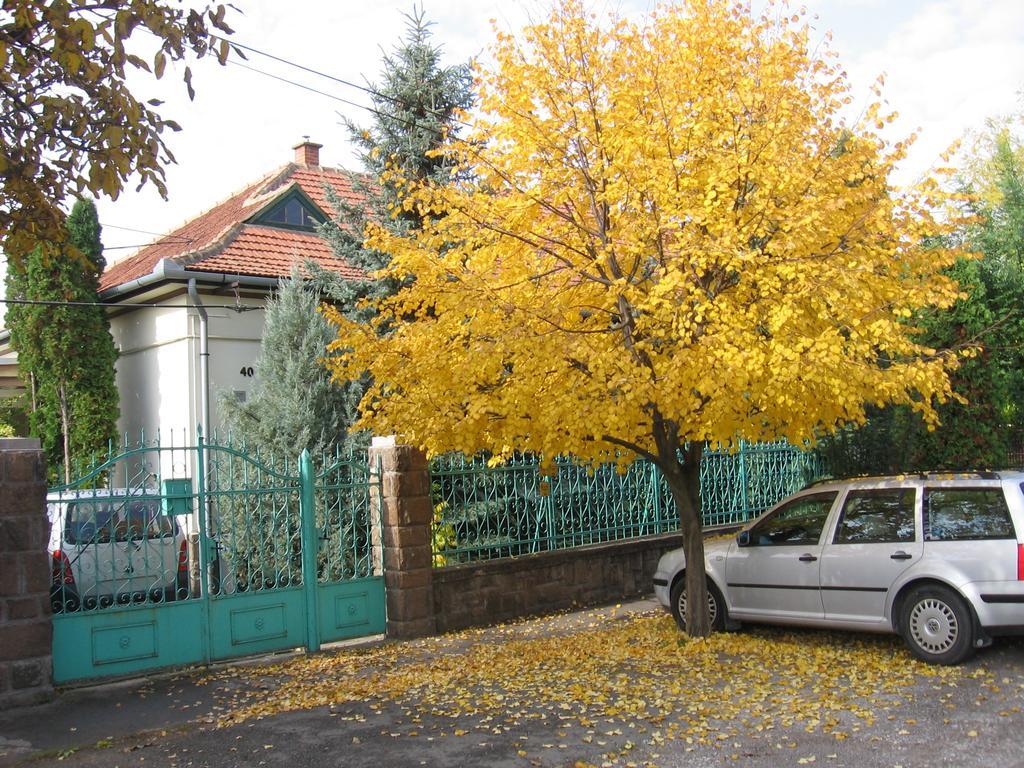 Csaladi Vendeghaz Apartment Eger Exterior photo